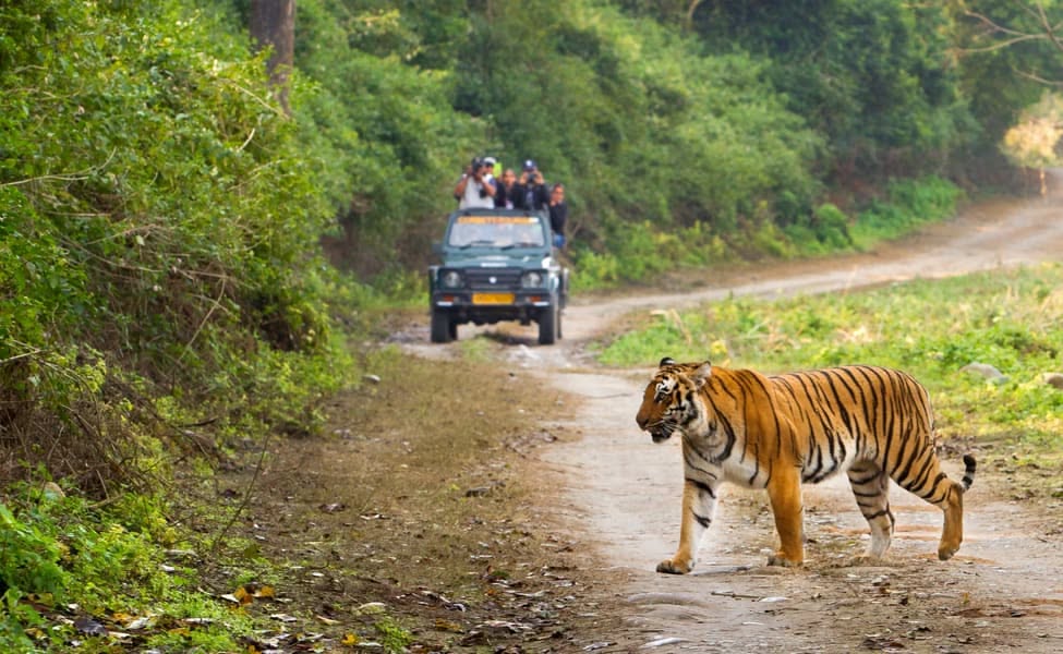 Fascinating Kumaon gallery image 2