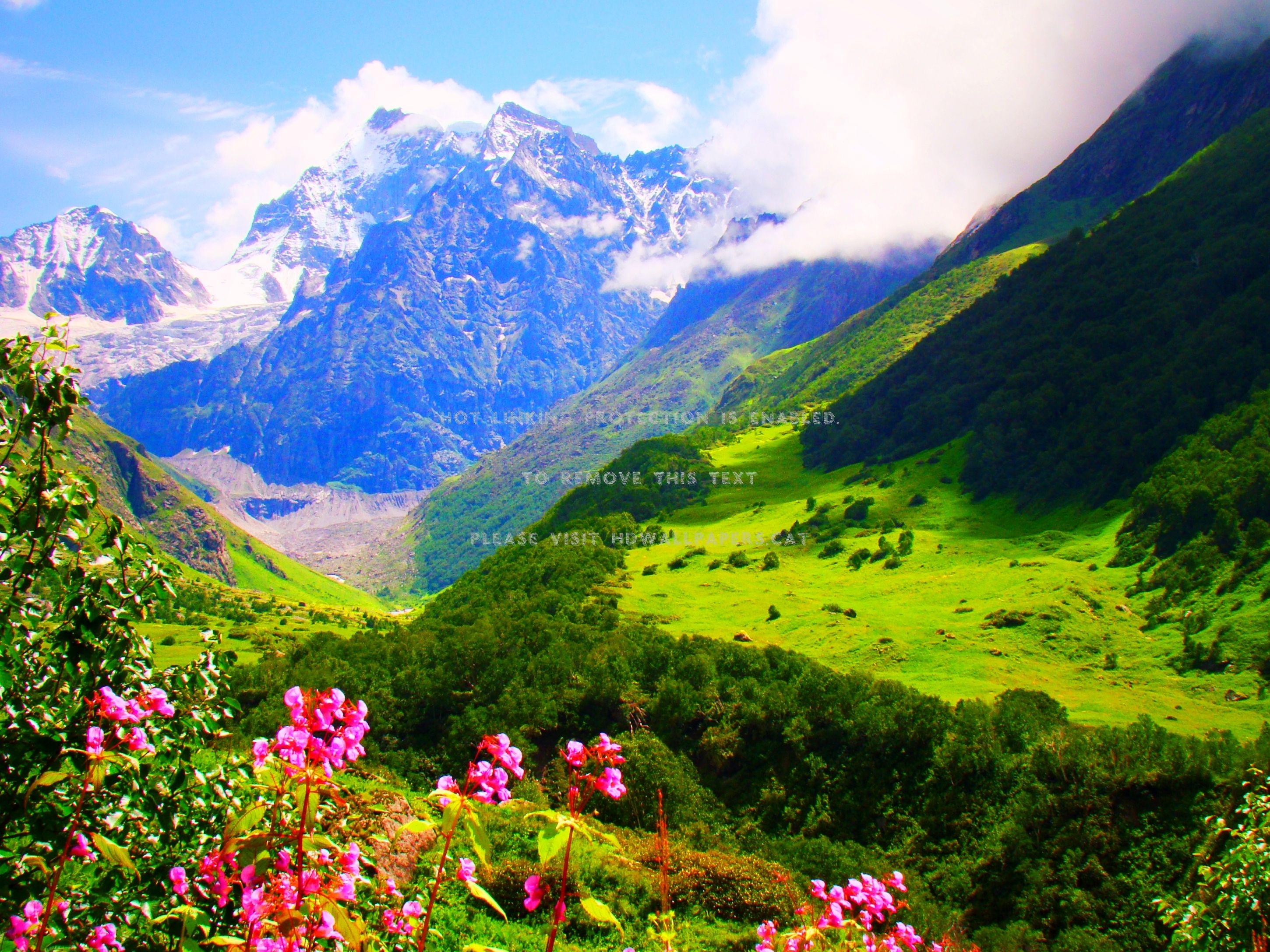 Magical Summer Getaway – Uttarakhand
