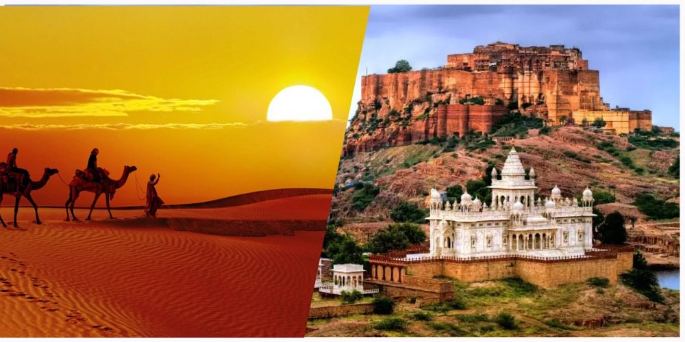The Essential Desert Experience