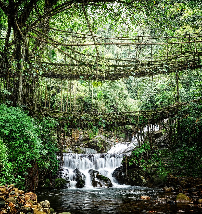 Enchanting Meghalaya gallery image 2