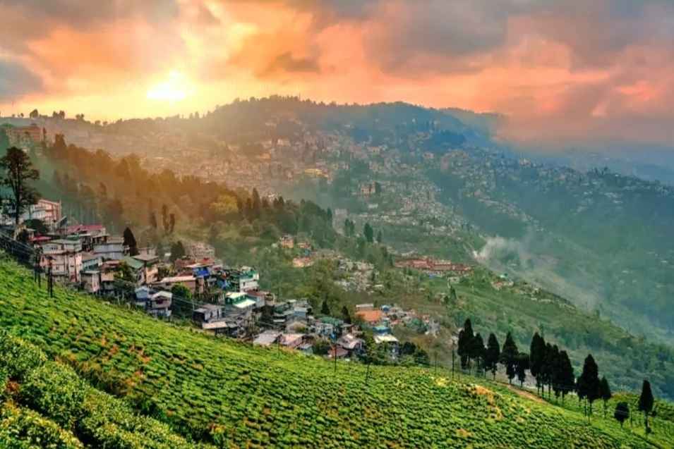 Misty Hills of Darjeeling