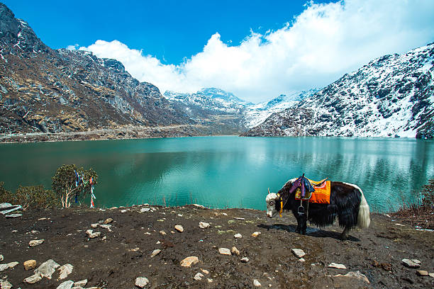 Mesmerizing Gangtok with Darjeeling