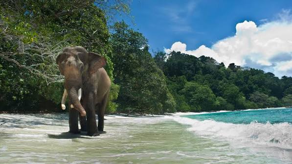 Exotic Andaman Beaches