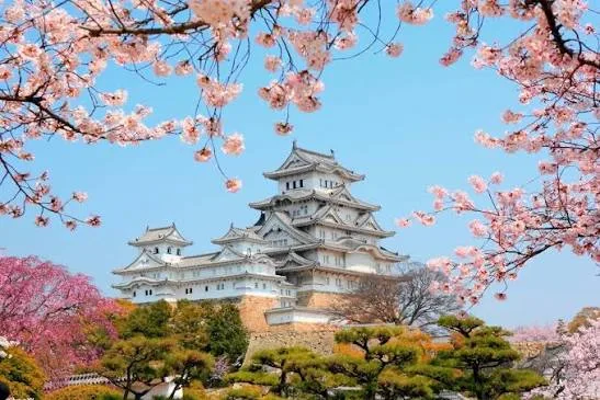 Japan Express gallery image 2