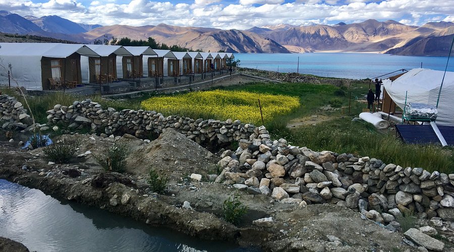 Pangong