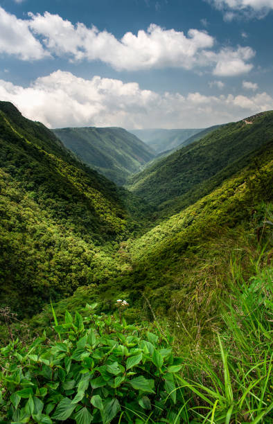 Serene Meghalaya gallery image 2