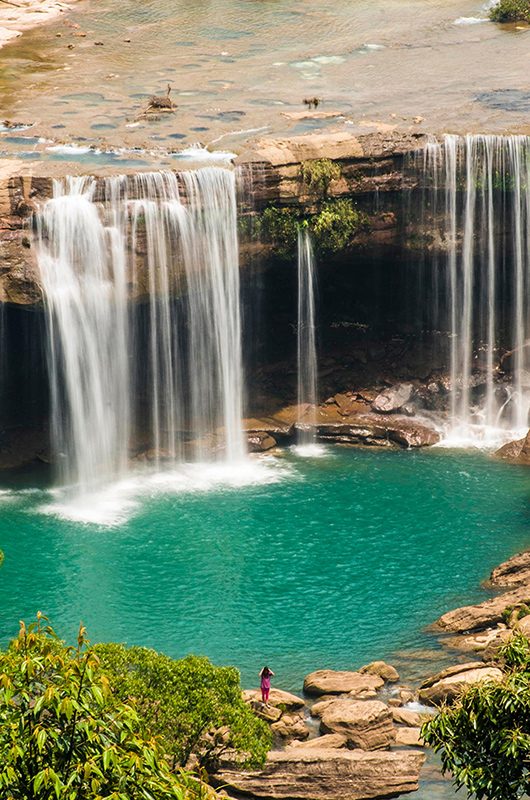 The Meghalaya Wildlife & Hills Experience gallery image 2