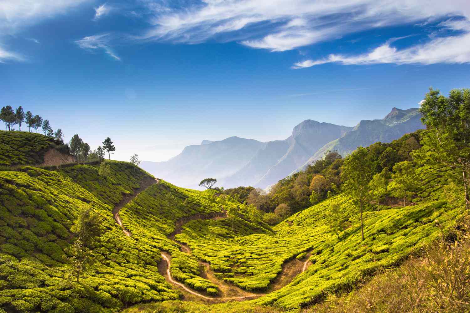 Nature’s Lap – Kerala Special